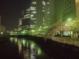 20120409_sakura1.jpg