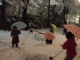 20140214_kumanojinjya.jpg