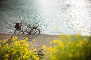 20170328_bicycle1c.jpg