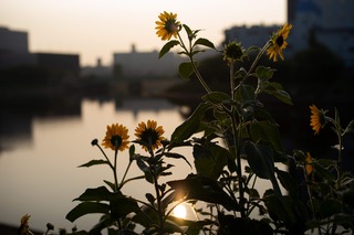 20190802_shinagawa2.jpg