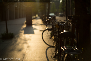 bicycle-2.jpg