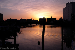 newyear-1010496.jpg
